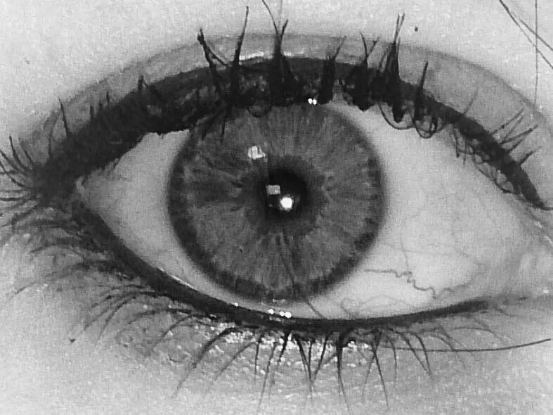 CarmenTrix image 1
